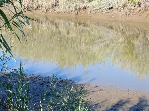 TERRENO RUSTICO COM 680 M2 - PLANO - JUNTO AO RIBEIRO - AGUA DA REGA - TENENCIA - CASTRO MARIM - ALGARVE