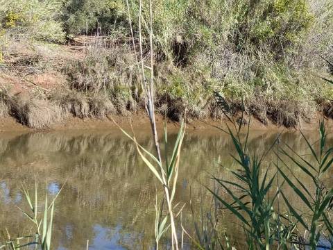 TERRENO RUSTICO COM 680 M2 - PLANO - JUNTO AO RIBEIRO - AGUA DA REGA - TENENCIA - CASTRO MARIM - ALGARVE