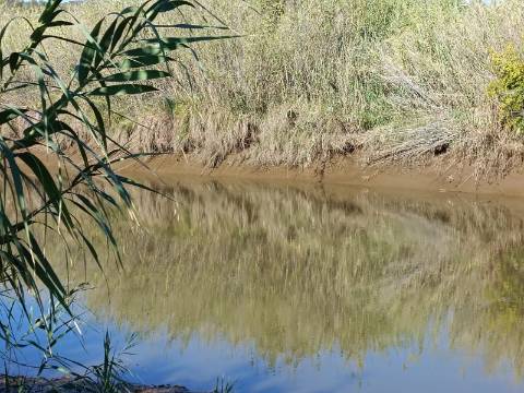 TERRENO RUSTICO COM 680 M2 - PLANO - JUNTO AO RIBEIRO - AGUA DA REGA - TENENCIA - CASTRO MARIM - ALGARVE