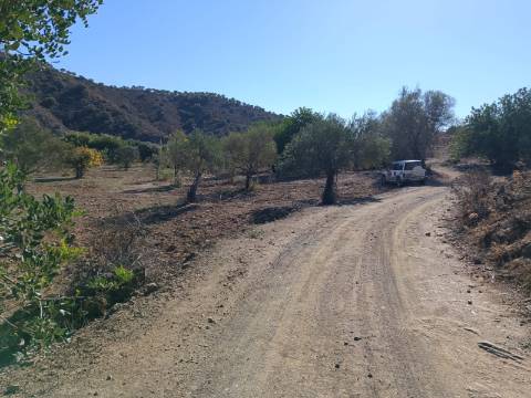 TERRENO RUSTICO COM 680 M2 - PLANO - JUNTO AO RIBEIRO - AGUA DA REGA - TENENCIA - CASTRO MARIM - ALGARVE