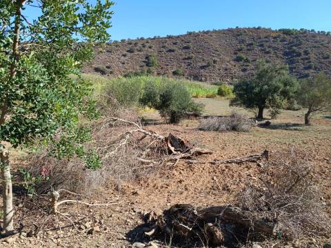 TERRENO RUSTICO COM 680 M2 - PLANO - JUNTO AO RIBEIRO - AGUA DA REGA - TENENCIA - CASTRO MARIM - ALGARVE