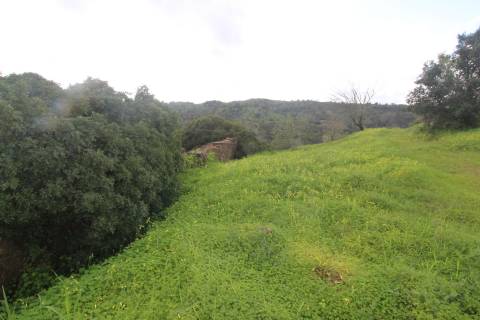 Terreno com 848 m2 de área, com uma ruína de 200 m2