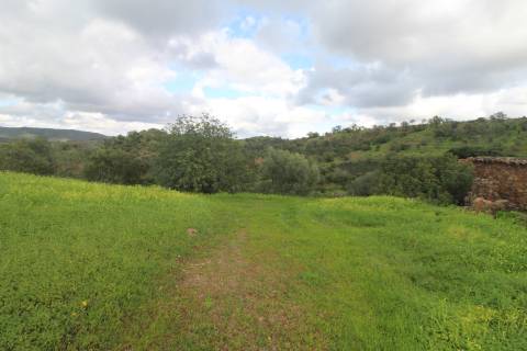 Terreno com 848 m2 de área, com uma ruína de 200 m2