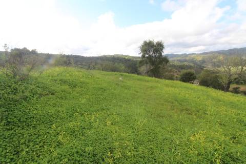 Terreno com 848 m2 de área, com uma ruína de 200 m2