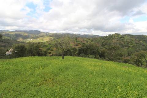 Terreno com 848 m2 de área, com uma ruína de 200 m2