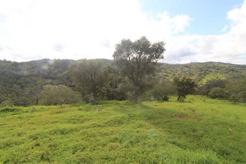 Terreno com 848 m2 de área, com uma ruína de 200 m2