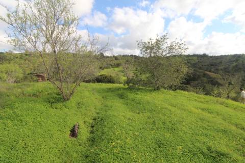 Terreno com 848 m2 de área, com uma ruína de 200 m2