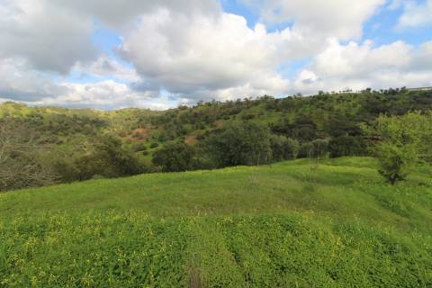 Terreno com 848 m2 de área, com uma ruína de 200 m2