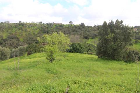 Terreno com 848 m2 de área, com uma ruína de 200 m2