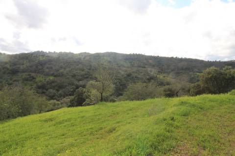 Terreno com 848 m2 de área, com uma ruína de 200 m2