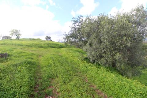 Terreno com 848 m2 de área, com uma ruína de 200 m2