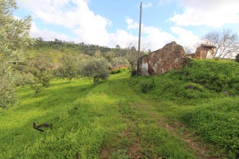 Terreno com 848 m2 de área, com uma ruína de 200 m2