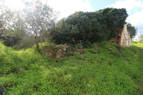 Terreno com 848 m2 de área, com uma ruína de 200 m2