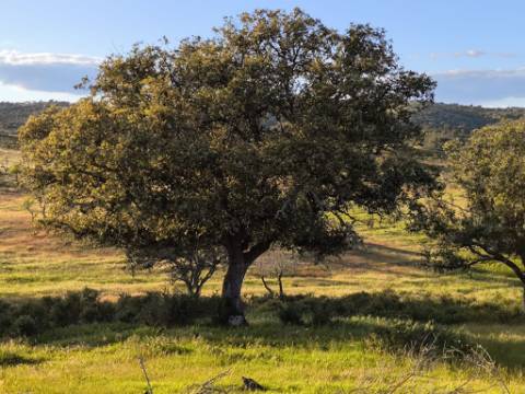TERRENO RÚSTICO COM 20.520 M2 - VISTA RIO - COM POÇO - NA FOZ DE ODELEITE - ALGARVE