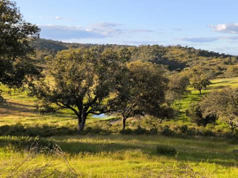 TERRENO RÚSTICO COM 20.520 M2 - VISTA RIO - COM POÇO - NA FOZ DE ODELEITE - ALGARVE