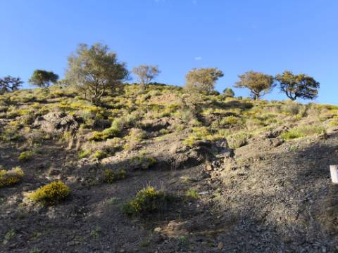 TERRENO RÚSTICO COM 20.520 M2 - VISTA RIO - COM POÇO - NA FOZ DE ODELEITE - ALGARVE