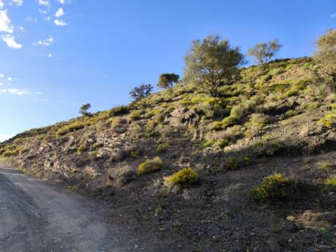 TERRENO RÚSTICO COM 20.520 M2 - VISTA RIO - COM POÇO - NA FOZ DE ODELEITE - ALGARVE