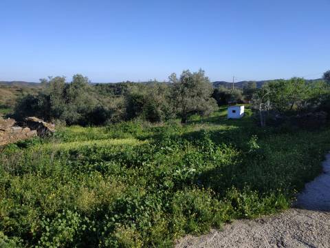 MORADIA T3 - COM SUITE - COM PROJECTO APROVADO - RECONSTRUIR - ALCARIAS GRANDES - CASTRO MARIM - ALGARVE