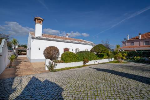 Moradia térrea com 4 quartos, Piscina em São Brás de Alportel