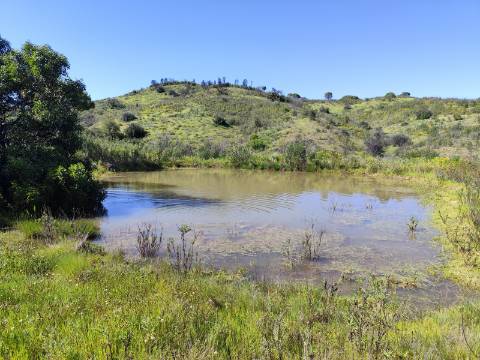 Terreno Rústico Champana, Corte António Martins