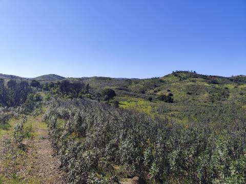 Terreno Rústico Champana, Corte António Martins