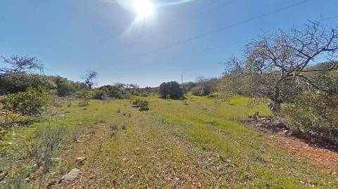 Terreno Rústico