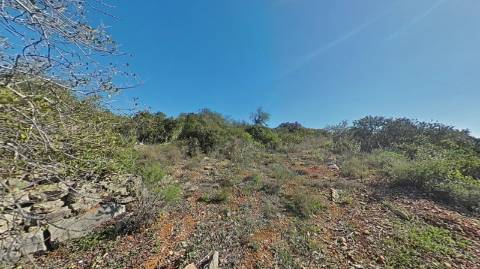 Terreno Rústico