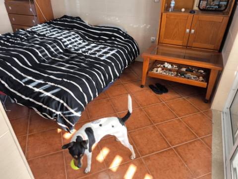 ANDAR DE MORADIA COM UM QUARTO - DUAS VARANDAS - VISTA MAR - RIBEIRA DO ALAMO EM ALTURA - CASTRO MARIM - ALGARVE