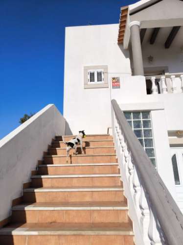 ANDAR DE MORADIA COM UM QUARTO - DUAS VARANDAS - VISTA MAR - RIBEIRA DO ALAMO EM ALTURA - CASTRO MARIM - ALGARVE