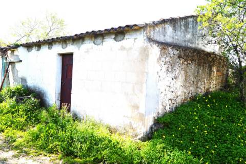 Ruina com espaço exterior, na zona de Santa Catarina da Fonte do Bispo