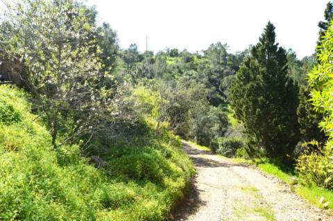 Ruina com espaço exterior, na zona de Santa Catarina da Fonte do Bispo