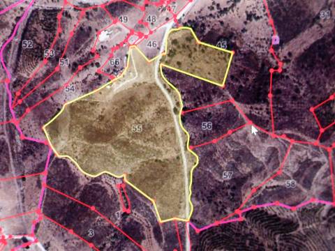 TERRENO COM 85.380 M2 - COM RUINAS - POÇO COM ÁGUA - POSSIBILIDADE DE CONSTRUÇÃO - MORADIA - TURISMO - BELICHE - CASTRO MARIM - ALGARVE