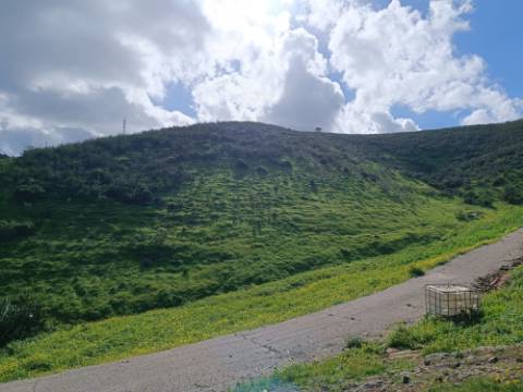 TERRENO COM 85.380 M2 - COM RUINAS - POÇO COM ÁGUA - POSSIBILIDADE DE CONSTRUÇÃO - MORADIA - TURISMO - BELICHE - CASTRO MARIM - ALGARVE