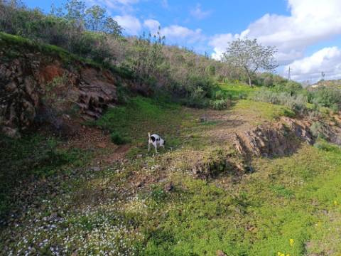 TERRENO COM 85.380 M2 - COM RUINAS - POÇO COM ÁGUA - POSSIBILIDADE DE CONSTRUÇÃO - MORADIA - TURISMO - BELICHE - CASTRO MARIM - ALGARVE