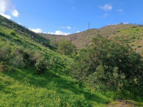 TERRENO COM 85.380 M2 - COM RUINAS - POÇO COM ÁGUA - POSSIBILIDADE DE CONSTRUÇÃO - MORADIA - TURISMO - BELICHE - CASTRO MARIM - ALGARVE