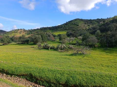TERRENO COM 85.380 M2 - COM RUINAS - POÇO COM ÁGUA - POSSIBILIDADE DE CONSTRUÇÃO - MORADIA - TURISMO - BELICHE - CASTRO MARIM - ALGARVE