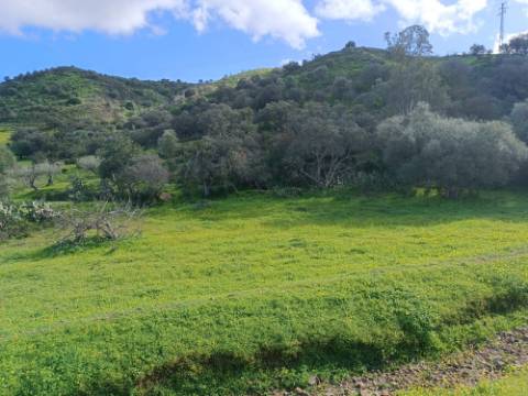 TERRENO COM 85.380 M2 - COM RUINAS - POÇO COM ÁGUA - POSSIBILIDADE DE CONSTRUÇÃO - MORADIA - TURISMO - BELICHE - CASTRO MARIM - ALGARVE