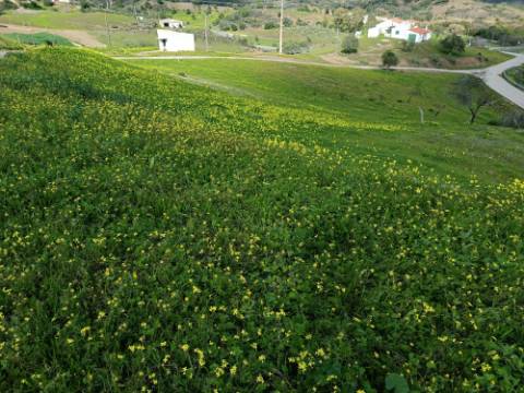 TERRENO COM 85.380 M2 - COM RUINAS - POÇO COM ÁGUA - POSSIBILIDADE DE CONSTRUÇÃO - MORADIA - TURISMO - BELICHE - CASTRO MARIM - ALGARVE