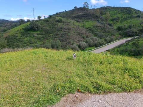 TERRENO COM 85.380 M2 - COM RUINAS - POÇO COM ÁGUA - POSSIBILIDADE DE CONSTRUÇÃO - MORADIA - TURISMO - BELICHE - CASTRO MARIM - ALGARVE