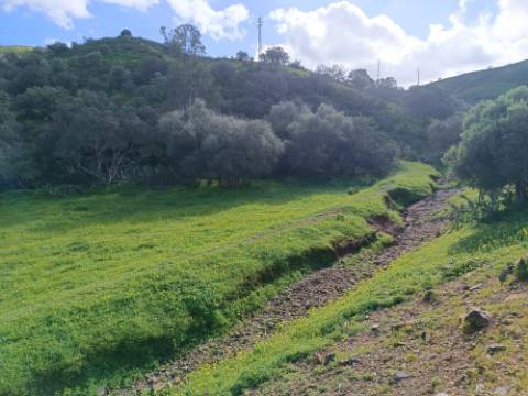 TERRENO COM 85.380 M2 - COM RUINAS - POÇO COM ÁGUA - POSSIBILIDADE DE CONSTRUÇÃO - MORADIA - TURISMO - BELICHE - CASTRO MARIM - ALGARVE