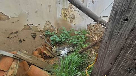 RUINA COM 105 M2 - PARA HABITAÇÃO - COM TERRENO DE 600 M2 - EM MILFRADES - VAQUEIROS - ALCOUTIM - ALGARVE