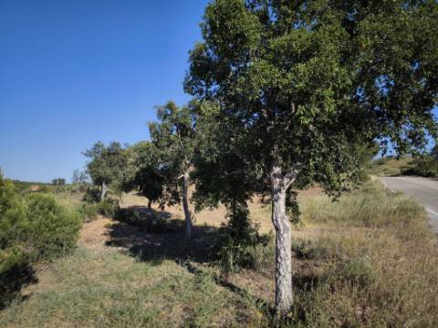 TERRENO COM 62.180 M2 - POSSIBILIDADE DE TURISMO RURAL - CONSTRUÇÃO PARA HABITAÇÃO - PRÓXIMO DA CORTE DO GAGO - CASTRO MARIM - ALGARVE