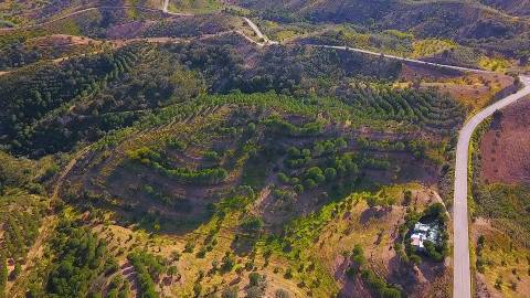 TERRENO COM 62.180 M2 - POSSIBILIDADE DE TURISMO RURAL - CONSTRUÇÃO PARA HABITAÇÃO - PRÓXIMO DA CORTE DO GAGO - CASTRO MARIM - ALGARVE
