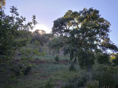 TERRENO COM 62.180 M2 - POSSIBILIDADE DE TURISMO RURAL - CONSTRUÇÃO PARA HABITAÇÃO - PRÓXIMO DA CORTE DO GAGO - CASTRO MARIM - ALGARVE