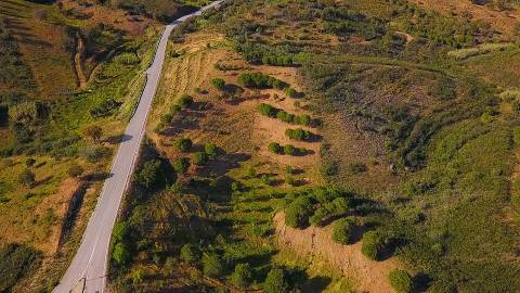 TERRENO COM 62.180 M2 - POSSIBILIDADE DE TURISMO RURAL - CONSTRUÇÃO PARA HABITAÇÃO - PRÓXIMO DA CORTE DO GAGO - CASTRO MARIM - ALGARVE