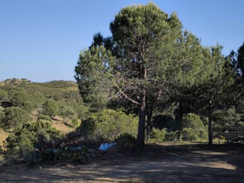 TERRENO COM 62.180 M2 - POSSIBILIDADE DE TURISMO RURAL - CONSTRUÇÃO PARA HABITAÇÃO - PRÓXIMO DA CORTE DO GAGO - CASTRO MARIM - ALGARVE