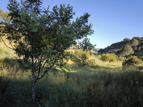 TERRENO COM 62.180 M2 - POSSIBILIDADE DE TURISMO RURAL - CONSTRUÇÃO PARA HABITAÇÃO - PRÓXIMO DA CORTE DO GAGO - CASTRO MARIM - ALGARVE