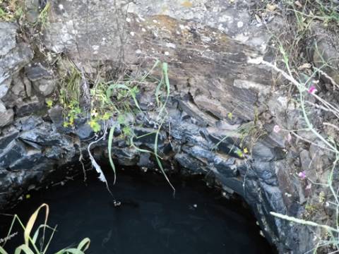 TERRENO COM 62.180 M2 - POSSIBILIDADE DE TURISMO RURAL - CONSTRUÇÃO PARA HABITAÇÃO - PRÓXIMO DA CORTE DO GAGO - CASTRO MARIM - ALGARVE