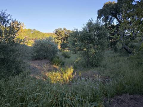 TERRENO COM 62.180 M2 - POSSIBILIDADE DE TURISMO RURAL - CONSTRUÇÃO PARA HABITAÇÃO - PRÓXIMO DA CORTE DO GAGO - CASTRO MARIM - ALGARVE