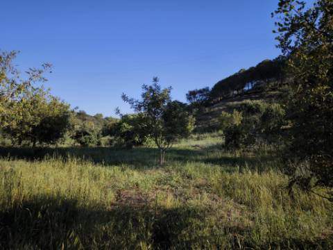 TERRENO COM 62.180 M2 - POSSIBILIDADE DE TURISMO RURAL - CONSTRUÇÃO PARA HABITAÇÃO - PRÓXIMO DA CORTE DO GAGO - CASTRO MARIM - ALGARVE